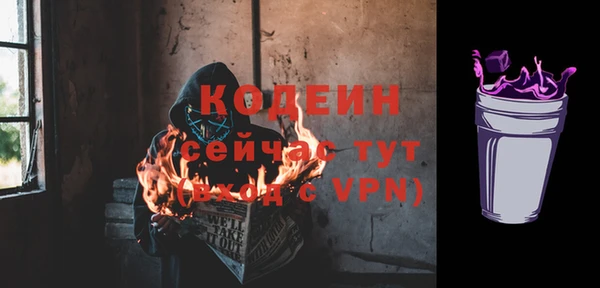 дмт Сосновоборск