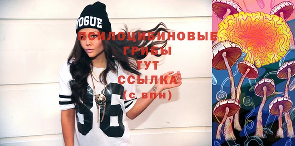 дмт Сосновый Бор