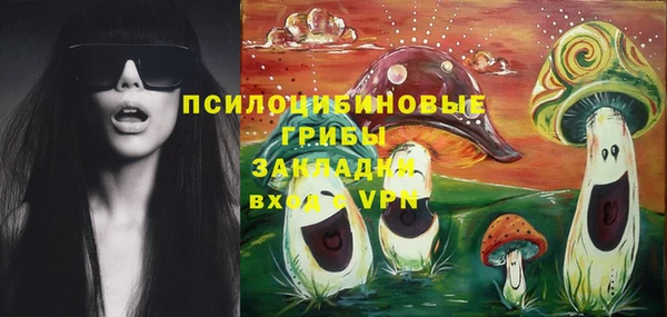 ешки Волоколамск