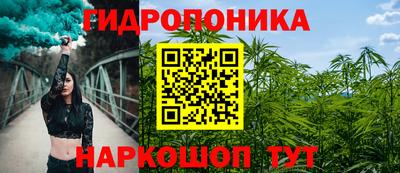 тгк Шебекино