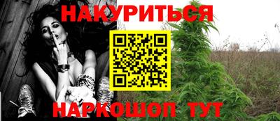 тгк Шебекино