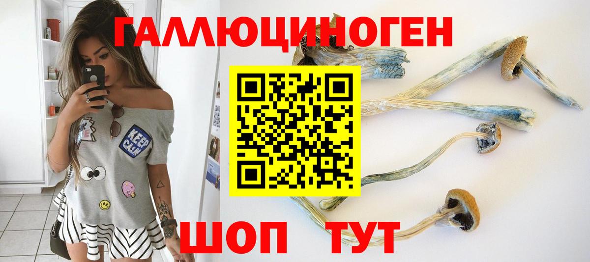 Северодвинск  Псилоцибиновые грибы Cubensis  наркотики  Вход с VPN 