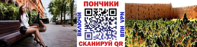 Бошки Шишки план  Северодвинск 